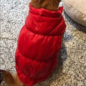 Queenmore Dog Coat